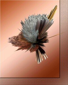 I-Best-In-Show-CJ-01-Faux-Feather-Fantasy